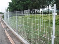 广西厂家直销双边丝护栏网，利鸣护栏网，养殖场围栏网