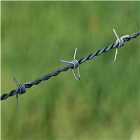 镀锌刺绳 带刺铁丝网 刺绳防护网