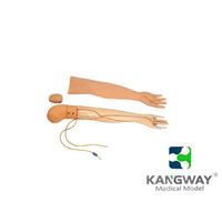 KDF/HS2多功能静脉穿刺输液手臂模型