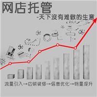 沈阳网店代运营公司