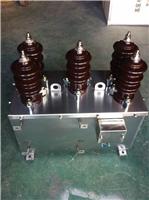 10KV高压计量箱JLS-10油浸式高压计量箱用途