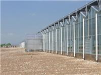 连栋温室大棚 玻璃温室现代化温室大棚建造