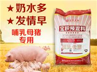 母猪饲料提高抵抗力调节肠道提高饲料利用率