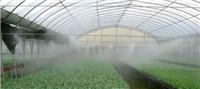 雾都国际加湿喷雾系统