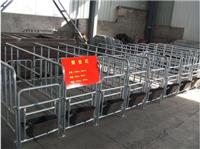 养猪设备 母猪限位栏 定位栏 一组十个带料槽 厂家直销 供应求购