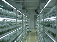 植物人工气候室、植物组培室、洁净实验室一体化设计与建设