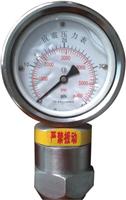 泵用抗震压力表批发可以选择中控仪表