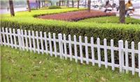 定制PVC绿化带隔离栅 喷涂绿化带护栏 塑钢草坪护栏 铸铁围栏 绝缘安全围栏 绿化带围栏护栏