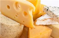 上海进口新西兰奶酪的关税是多少