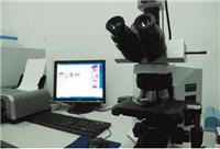 BLC-UC高速显微镜相机 全系列均支持TCT病理软件）