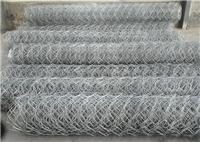 河北石笼网生产厂家供应新疆石笼网，冷镀石笼网，水利石笼网