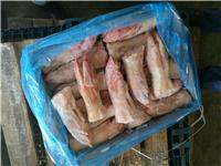 批发 进口冷冻猪脚 加拿大147进口猪蹄 猪副产品 一手货源