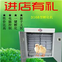 孵化机中型孵化设备孵化器全自动孵化机3168枚孵化箱家用孵化机