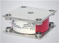 ALCON高频水冷谐振电容器 / FP-1-400