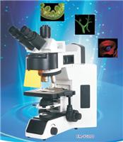 荧光显微镜供应