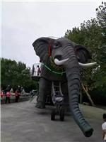 仿真大型机械大象行走出租，生产户外蜂巢迷宫道具出租