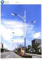 专业供应市电路灯 节能路灯 太阳能路灯价格 衡水庭院灯