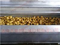 土豆红薯毛辊清洗去皮机价格