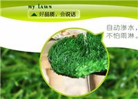 人造草坪厂-新朝阳专业生产优质草坪