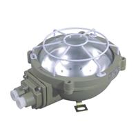 BCD-100P系列防爆吸顶灯 可配装白炽灯铸铝合金外壳表面喷塑厂家直销品质保证