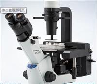 北京一级代理奥林巴斯CKX31/41倒置显微镜