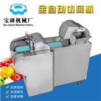 多功能切菜机 小型电动切菜机商用 全自动蔬菜切片机厂家