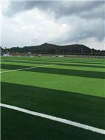人造草坪足球场　厂家直供　优质足球场仿真草坪