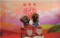 2017年5月份亚洲犬博会/上海国际犬博会