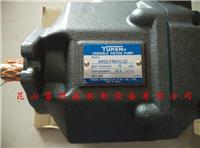 供应日本YUKEN油研柱塞泵AR16-FR01C-22电磁阀