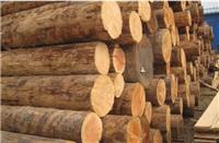 木材加工 绥芬河木材加工