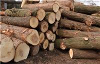 木材木业贸易加工