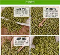 东北大豆绿豆豆类农家**纯生态种植 新货优质精选豆类产品