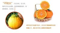广东柑橘新品种苏红桔苗价格怎么样