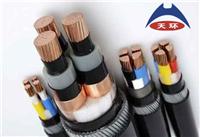 衡水电力电缆，YJV低压电力电缆厂家-天环线缆集团