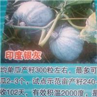 穆棱银灰白瓜种子10kg袋装价格 牡丹江白瓜种子品种哪个好