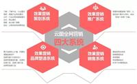 郑州网站托管|代运营公司价格 云图全网营销