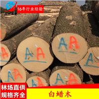 广东白蜡木厂家供应进口优质白蜡木协兴木业