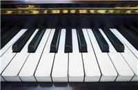 钢琴之所以高雅是因为它从选材就进益求精 牡丹江锦程乐器零件厂精益求精好钢琴从好零件开始