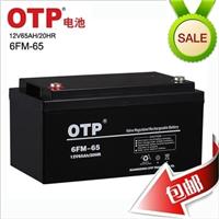 OTP蓄电池12V65AH产品/规格