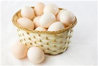 供应新鲜鸡蛋绿色鸡蛋