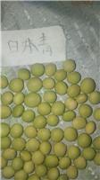 哈尔滨产地农家日本青大豆专业种植 尚志东北日本青青豆大豆价格