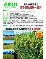 哈尔滨国际一级米水稻原粮 尚志市专业水稻种植基地
