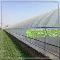 沧州新旺兴农种植大棚高效细致养殖大棚性能可靠