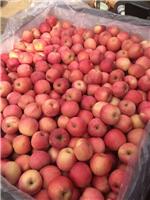 山东红富士苹果产地大量批发优质苹果