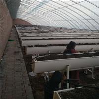山东绿化种植槽厂家 生态农业草莓种植槽