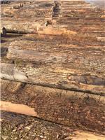 牡丹江批发樟子松板材价格 黑龙江大型木材加工厂可定制 量大优惠