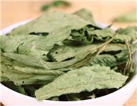 海林甜叶菊种植销售价格多少 牡丹江营养绿色甜叶菊茶叶专业供应