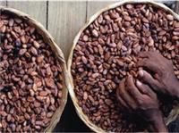 咖啡豆商检进口报关公司