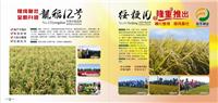 黑龙江省水稻种植技术选哪家 黑龙江水稻总代理选哪家