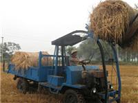绥化专业玉米秸秆加工厂 供应牛羊青贮饲料 过冬草料玉米秸秆